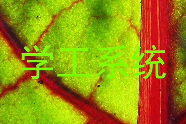 学工系统