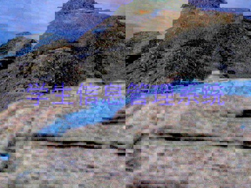 学生信息管理系统