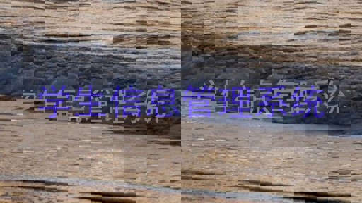 学生信息管理系统