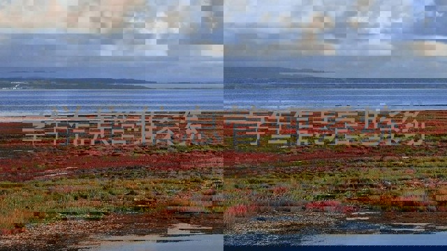 学生信息管理系统