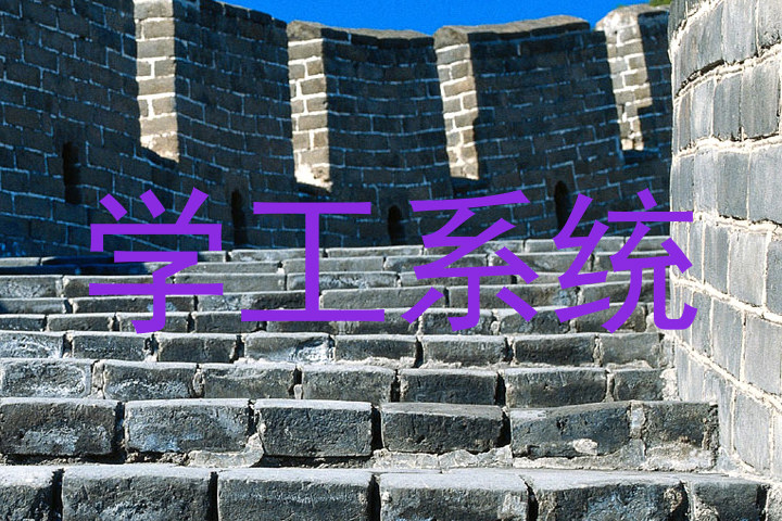 学工系统