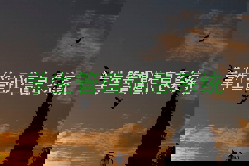 学生管理信息系统