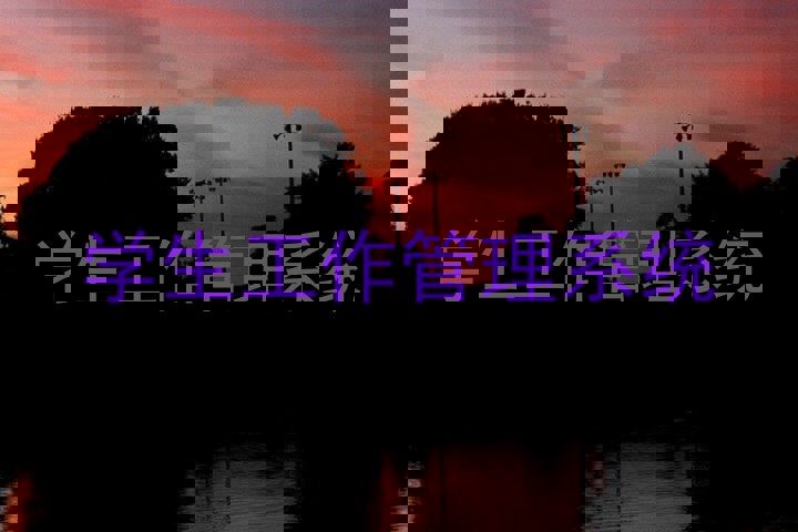 学生工作管理系统