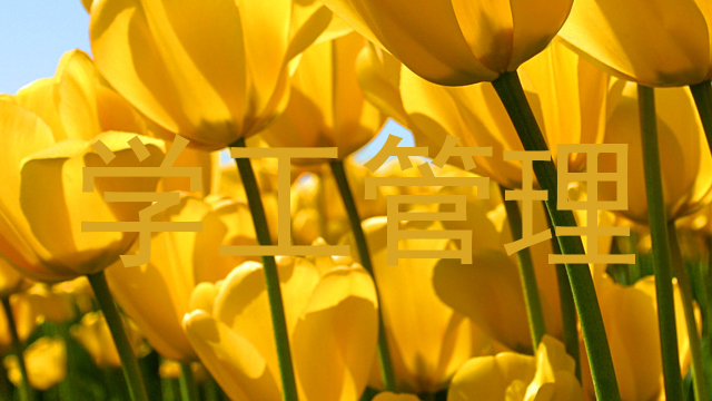 学工管理
