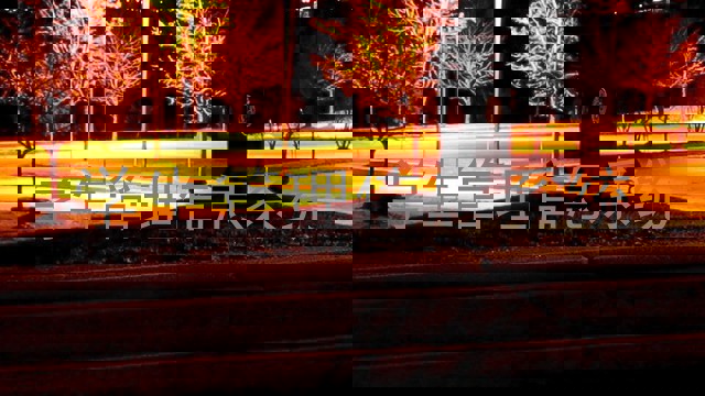 学生管理信息系统