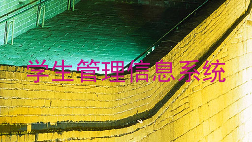 学生管理信息系统