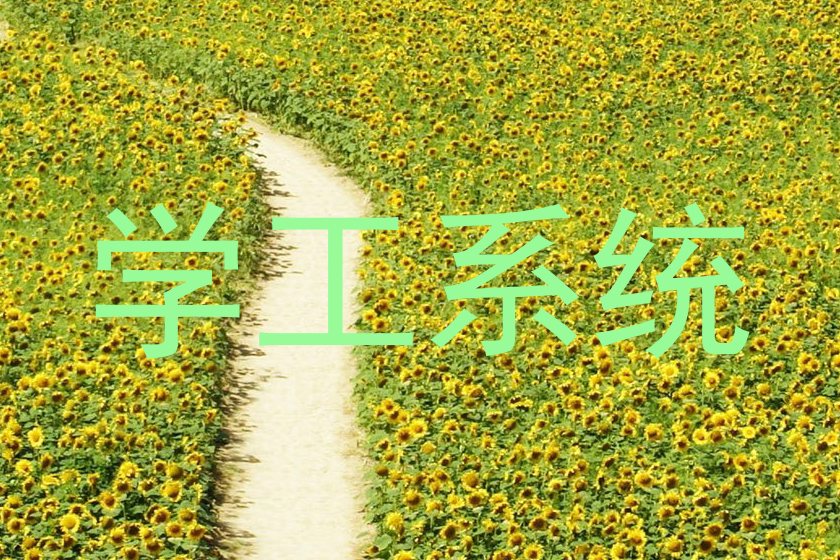 学工系统