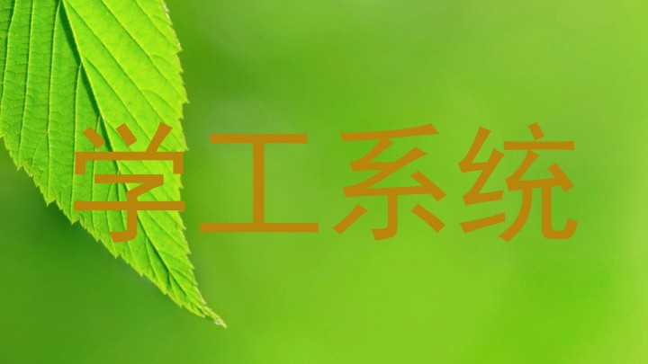 学工系统