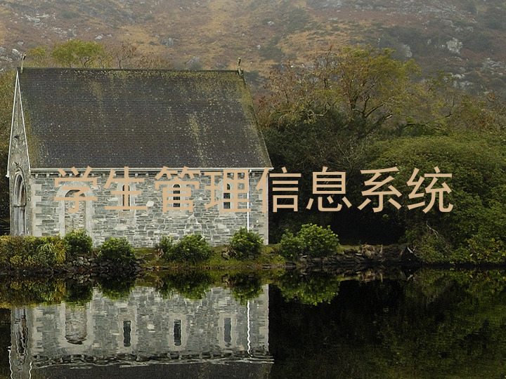 学生管理信息系统