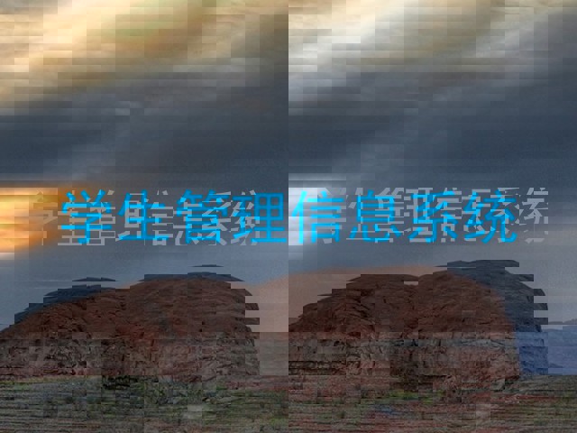 学生管理信息系统