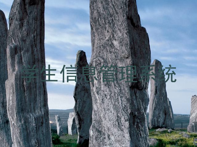 学生信息管理系统