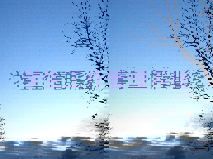 学生工作管理系统