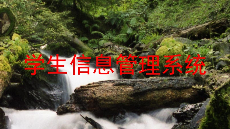 学生信息管理系统