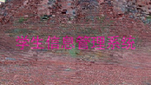 学生信息管理系统