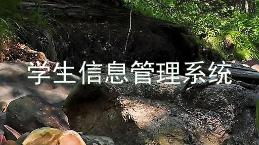 学生信息管理系统