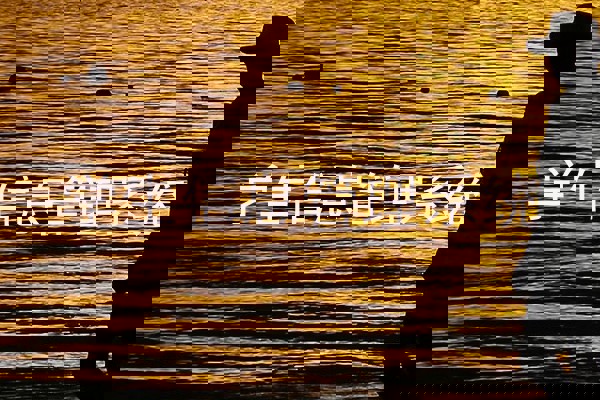 学生信息管理系统