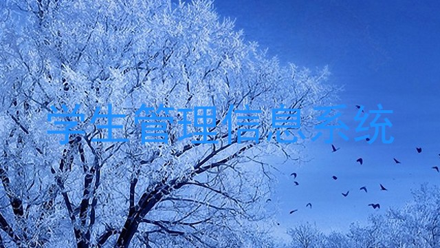 学生管理信息系统