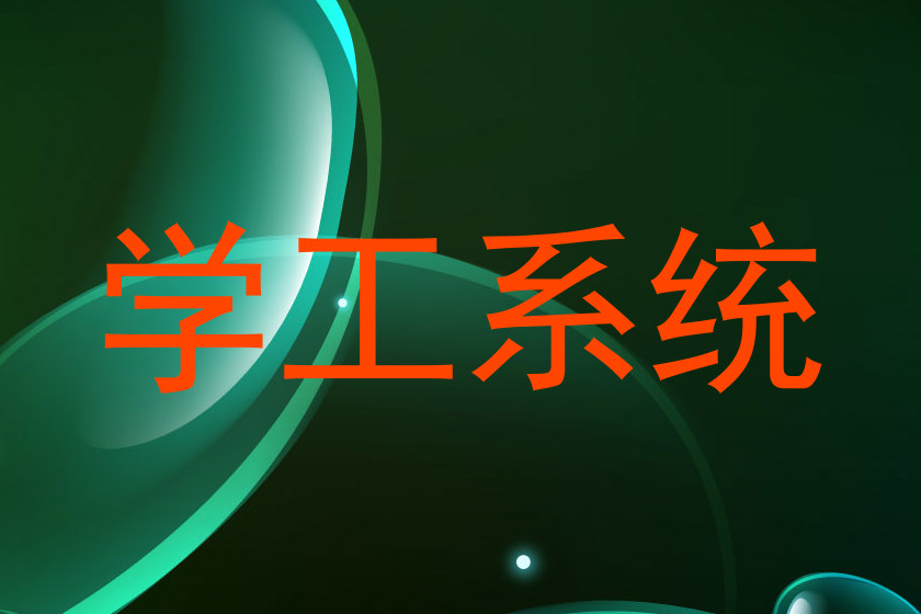 学工系统