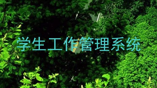 学生工作管理系统