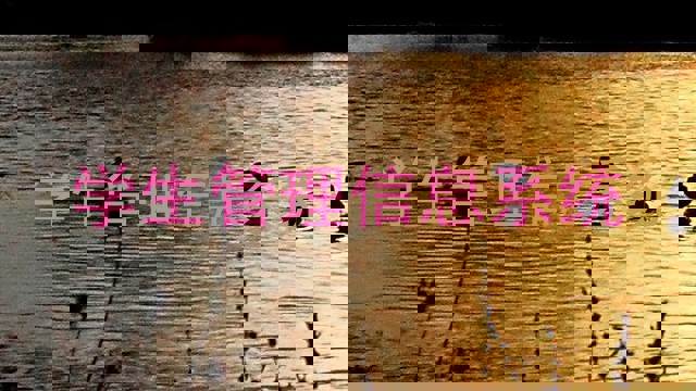 学生管理信息系统