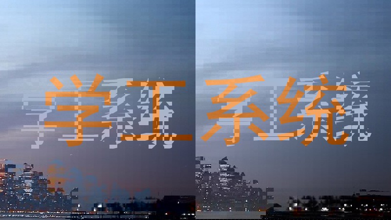 学工系统