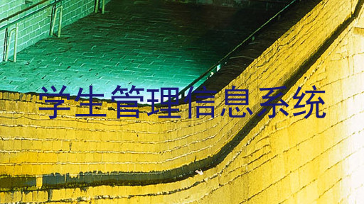 学生管理信息系统