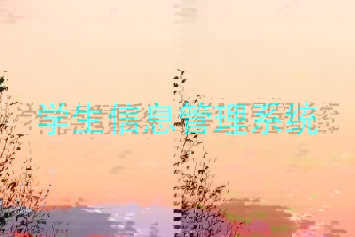 学生信息管理系统