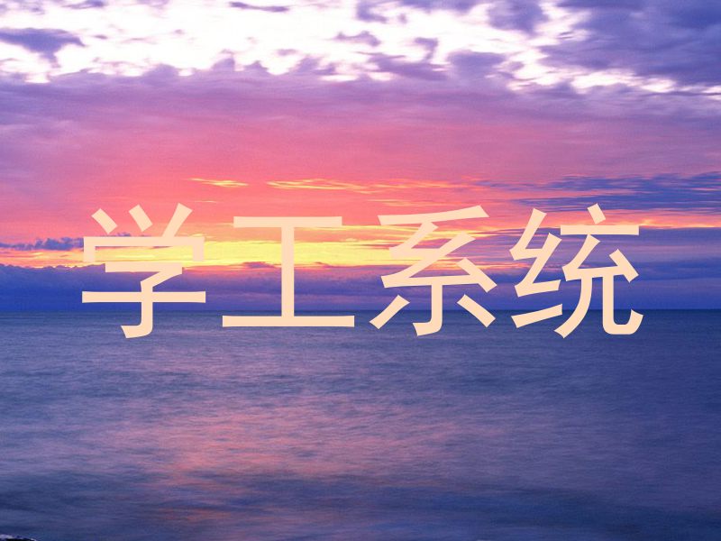 学工系统