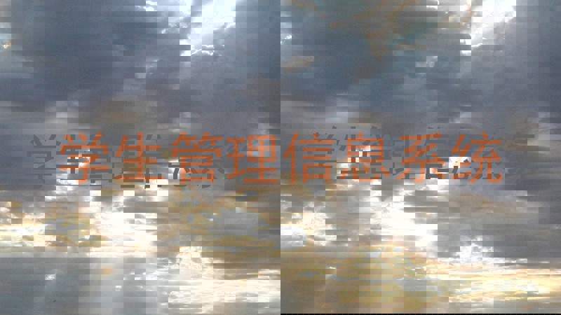 学生管理信息系统