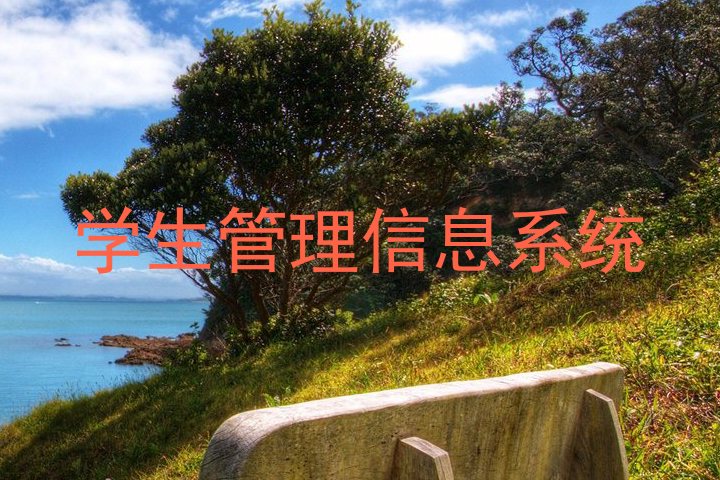 学生管理信息系统