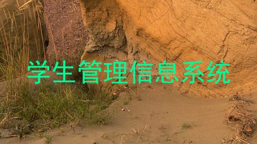 学生管理信息系统