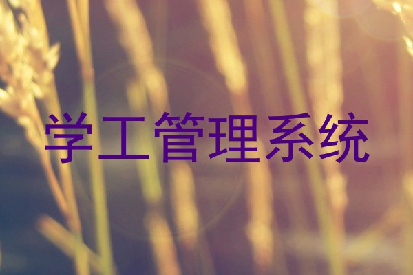 学工管理系统
