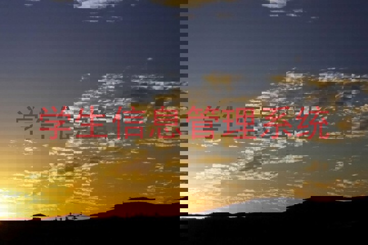 学生信息管理系统