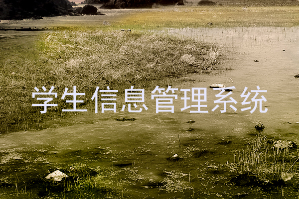 学生信息管理系统