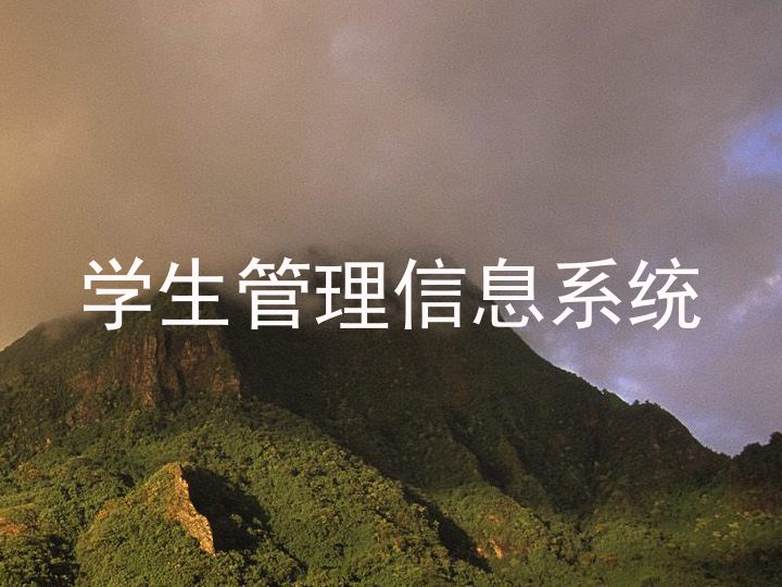 学生管理信息系统