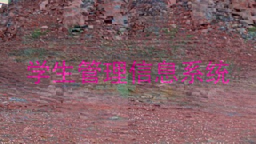 学生管理信息系统