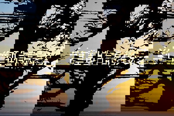 学生管理信息系统