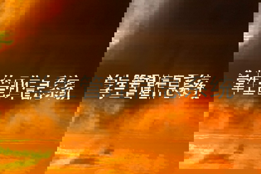 学生管理信息系统