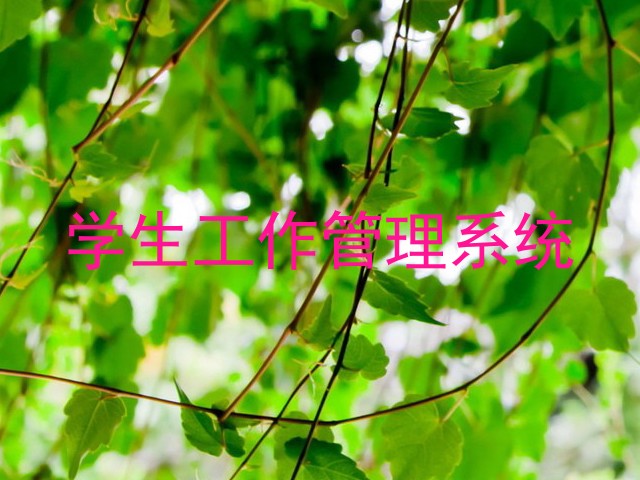 学生工作管理系统