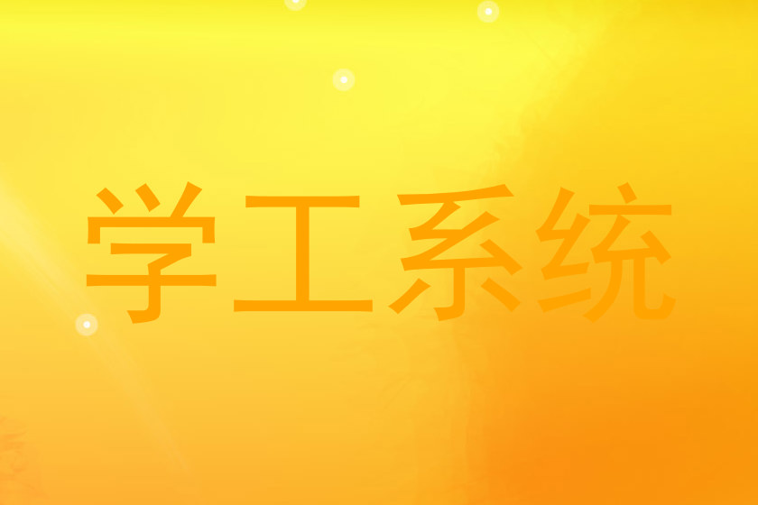 学工系统