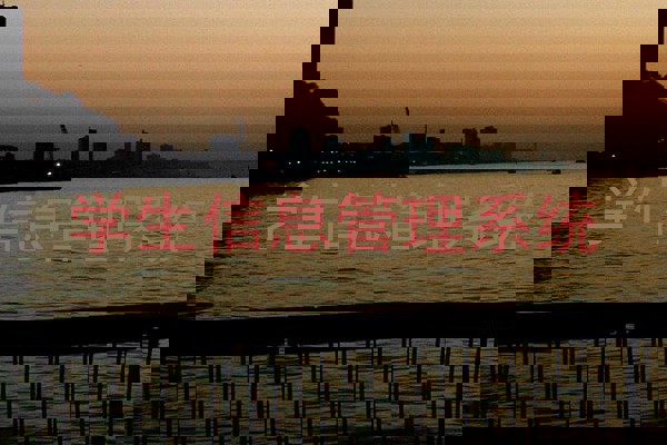 学生信息管理系统