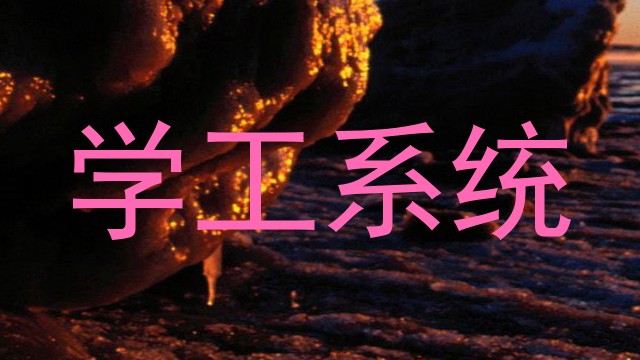 学工系统