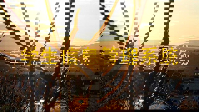 学生信息管理系统