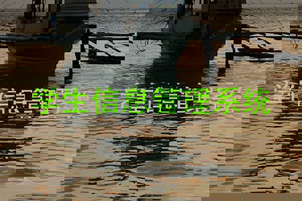 学生信息管理系统