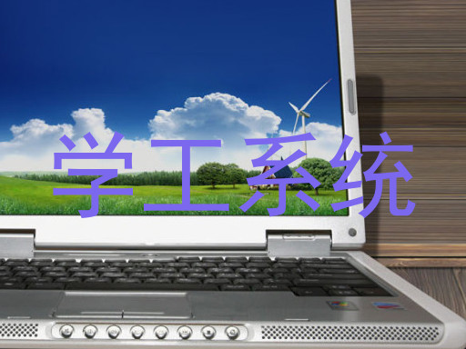 学工系统