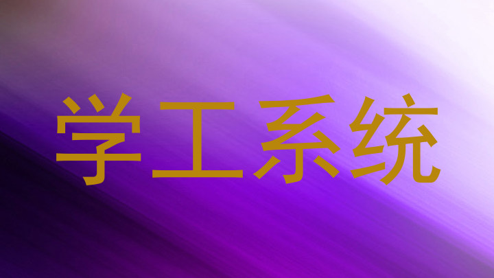 学工系统