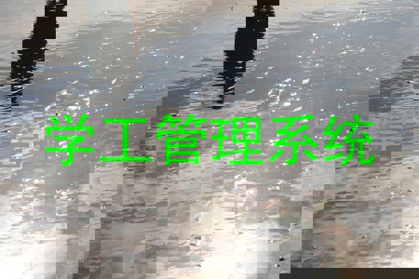 学工管理系统