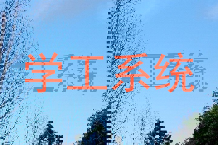 学工系统