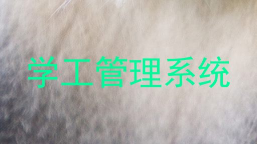 学工管理系统