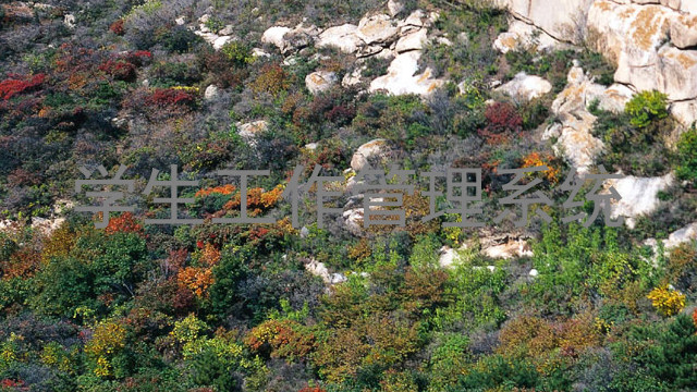 学生工作管理系统